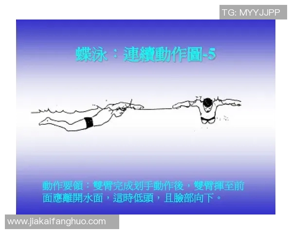 基础游泳技巧全解析从零开始掌握游泳的关键动作与方法