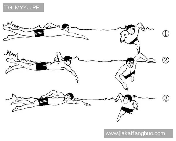 提高自由泳技术与耐力的全面训练计划及技巧解析